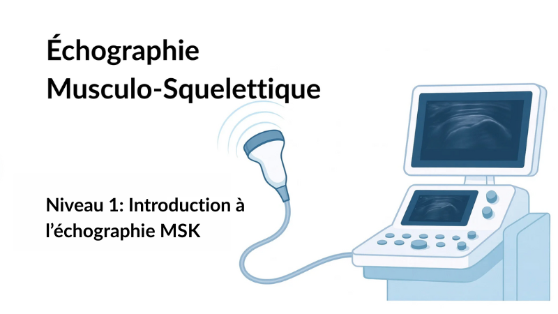 Échographie musculo-squelettique — Cours de base